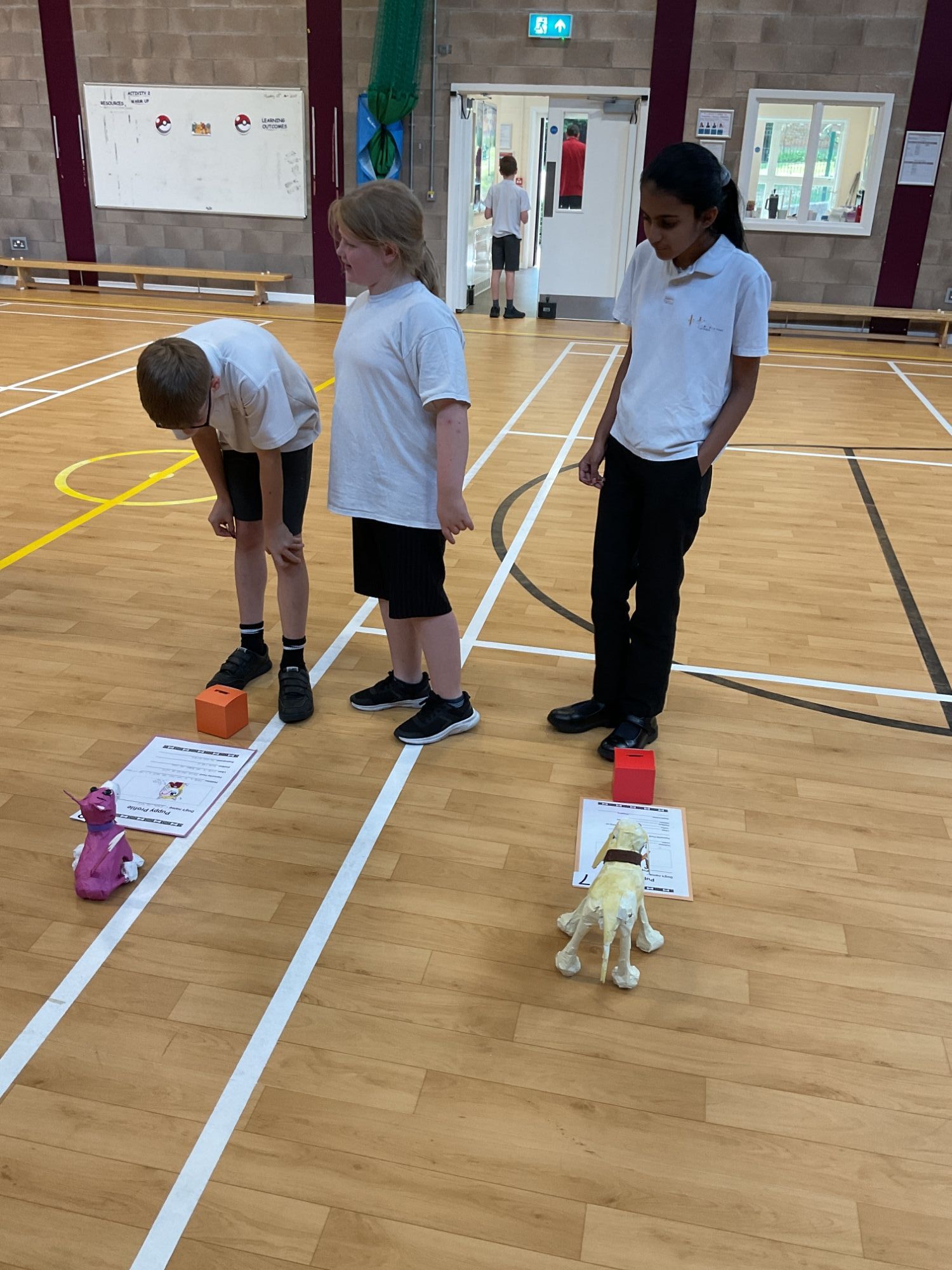 Primary Students voting for their favourite dog