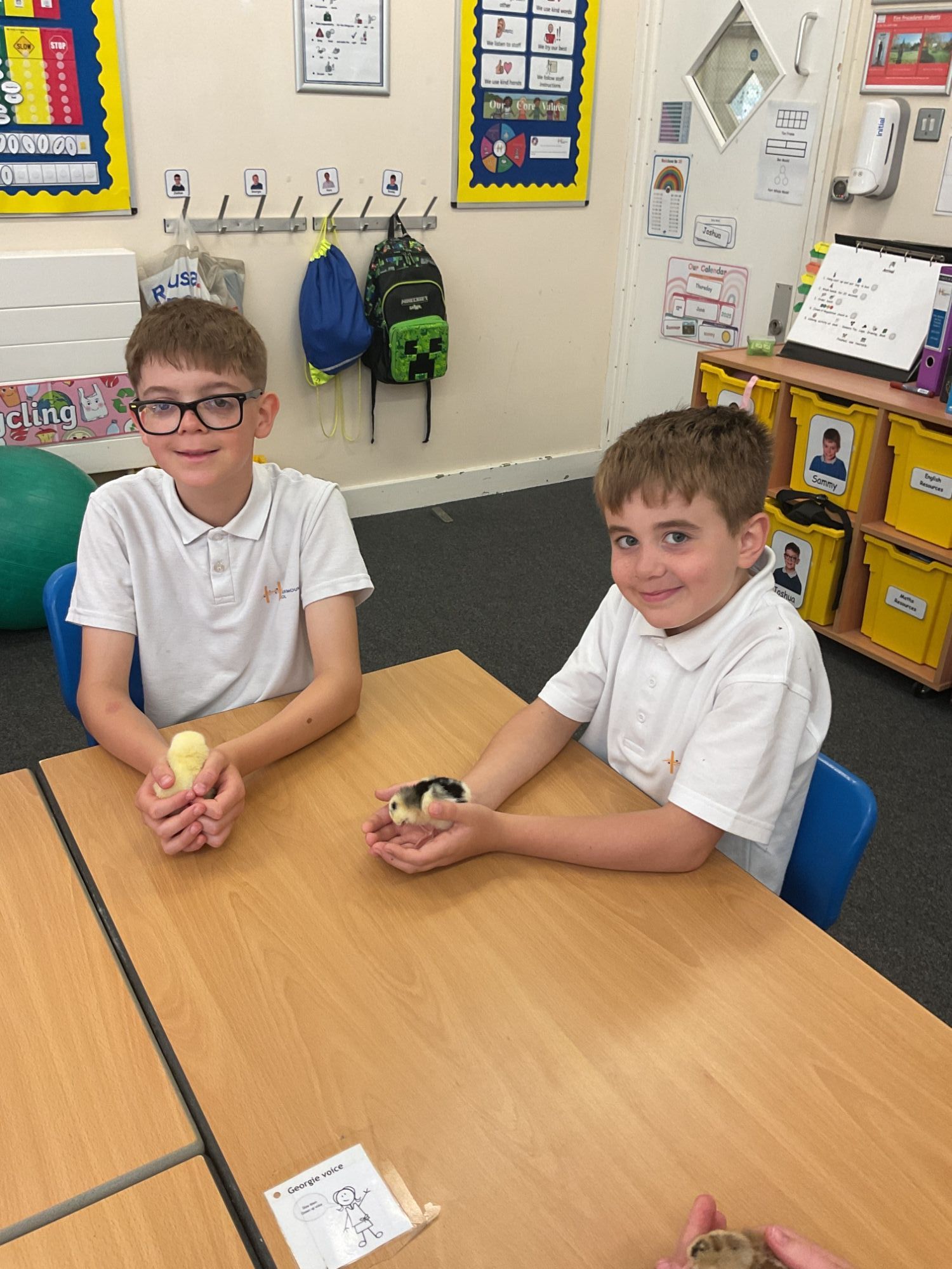 Two boys smiling each holding a chick