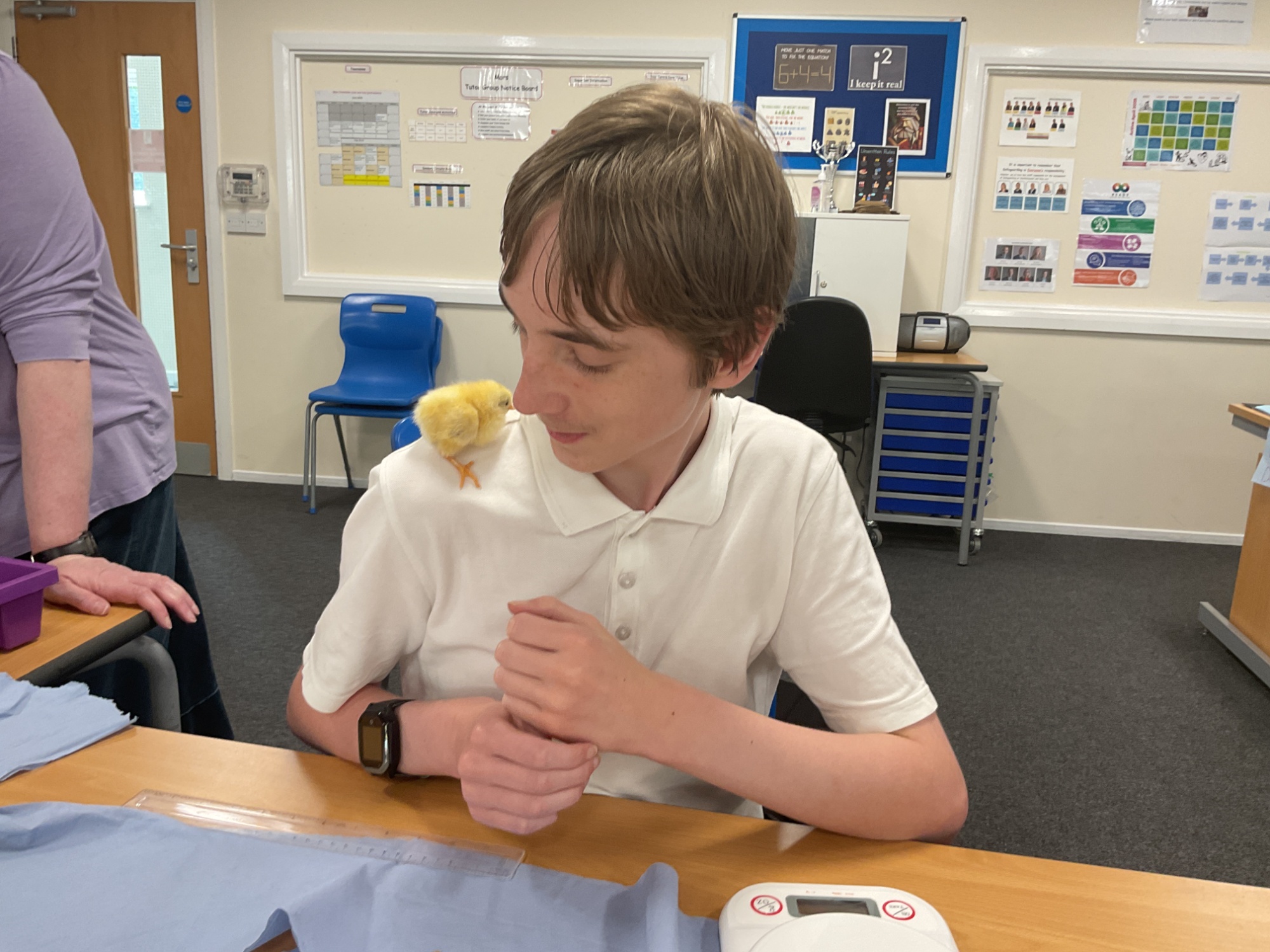 Secondary boy smiling at chick on shoulder