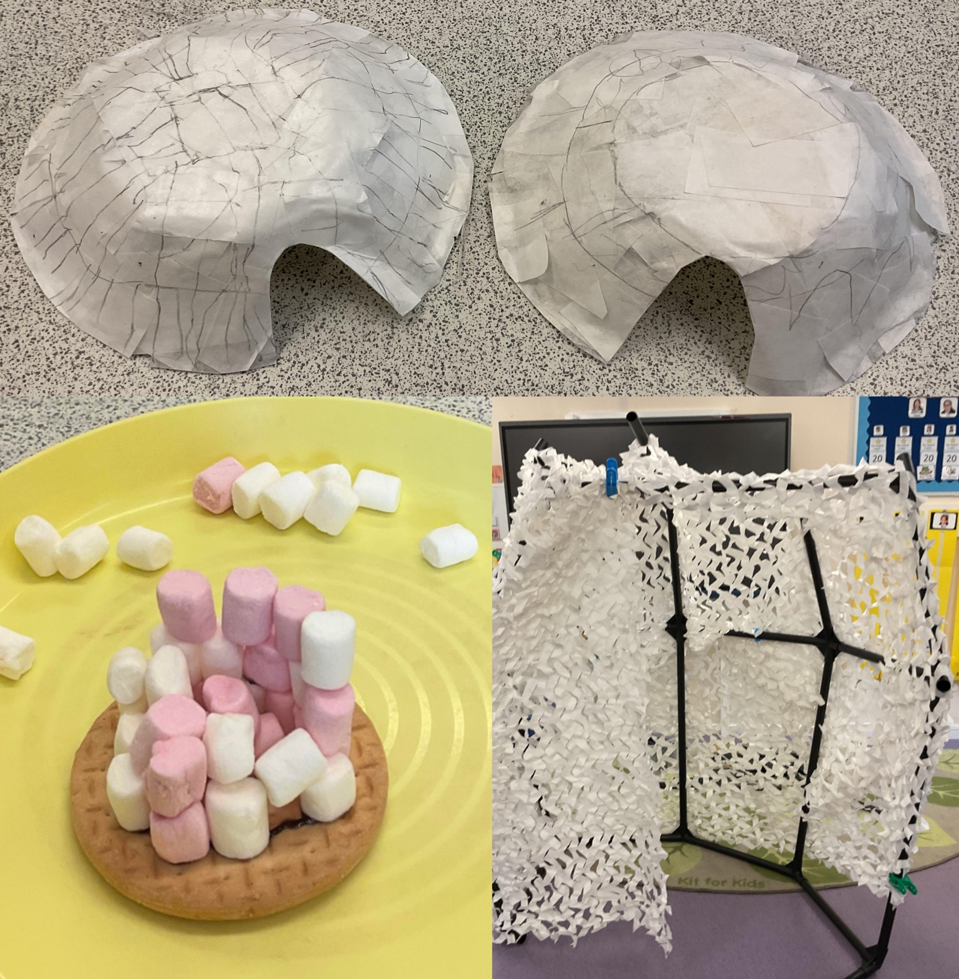 Apple class igloo craft