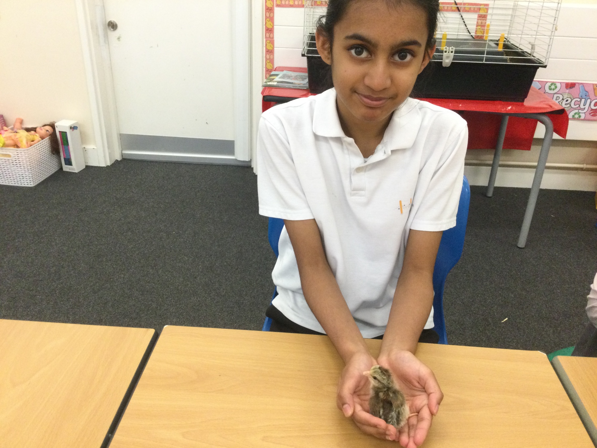 Primary student with chick