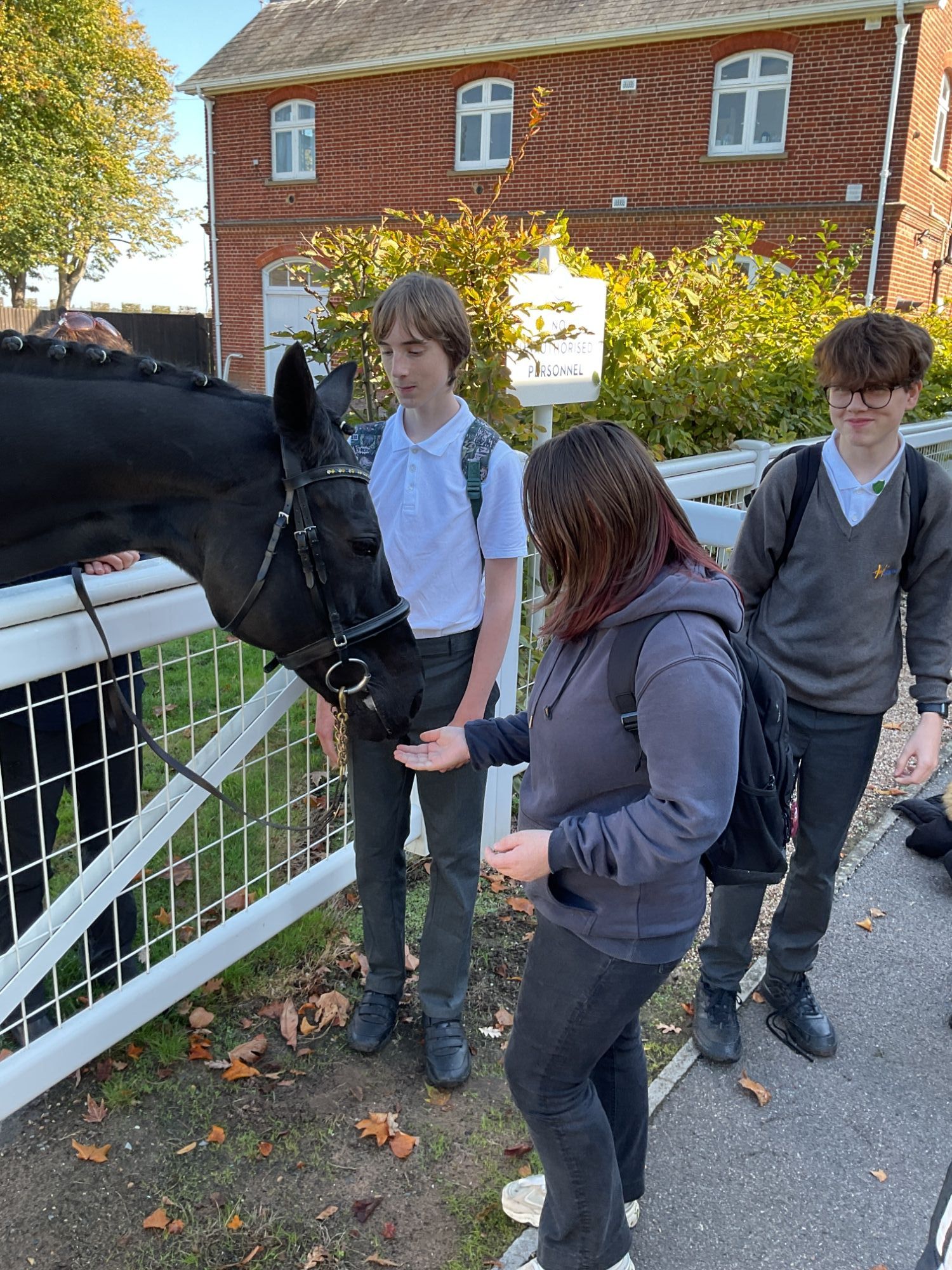 Students feeding a race horse
