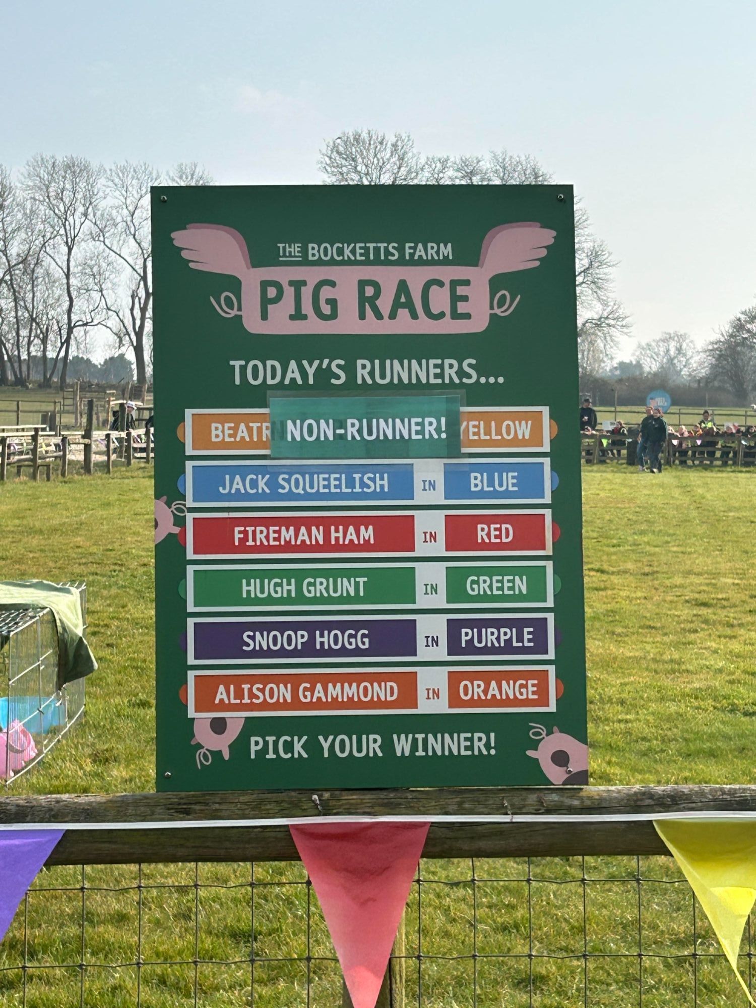 Names of the pigs running in the race