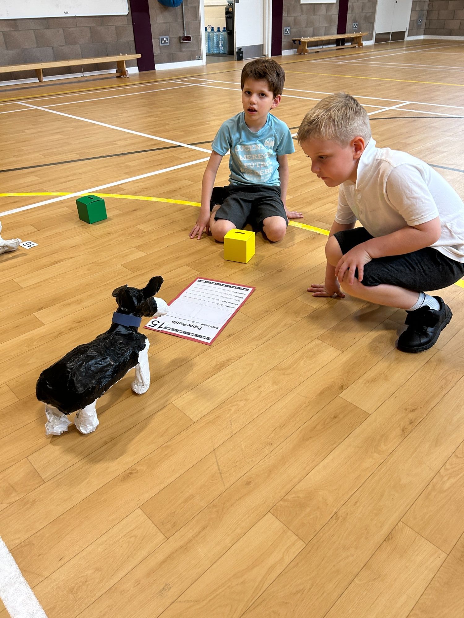 Boys from foundation voting for their favourite dog