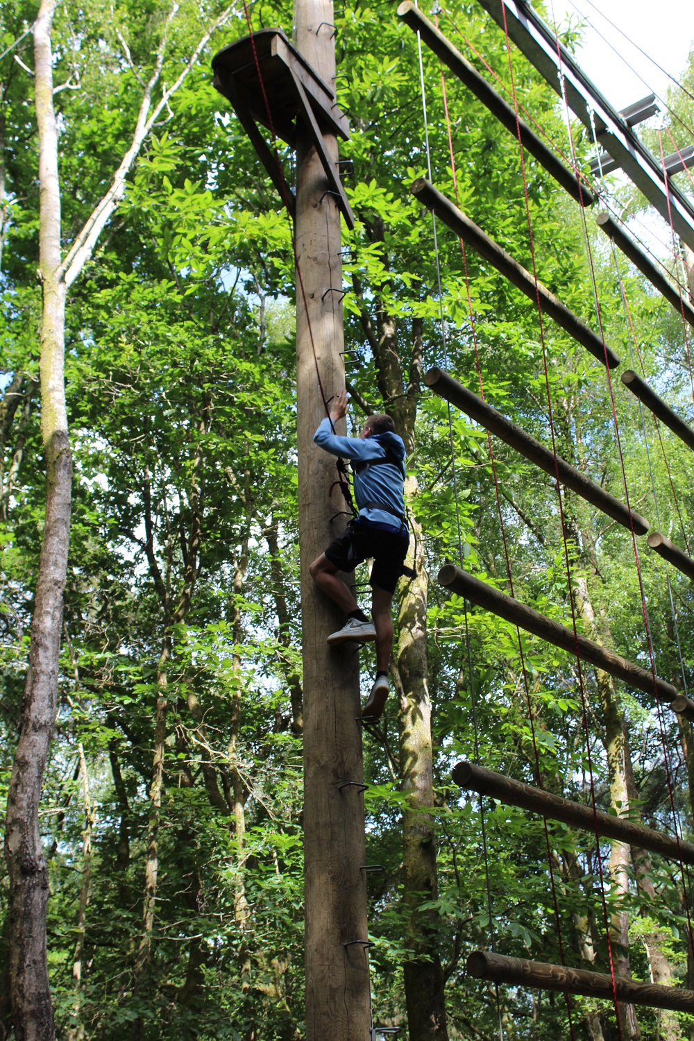 Students climbing pole