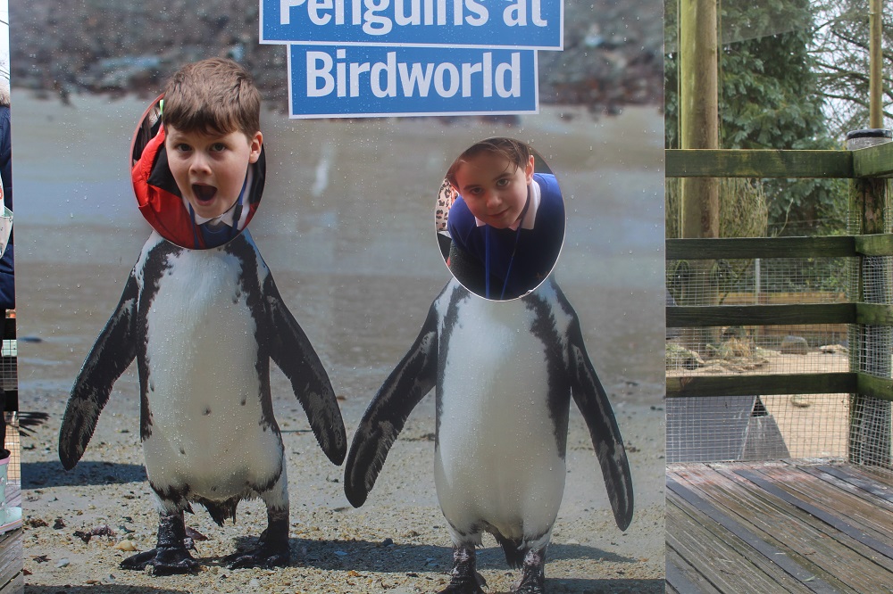 Penguin students
