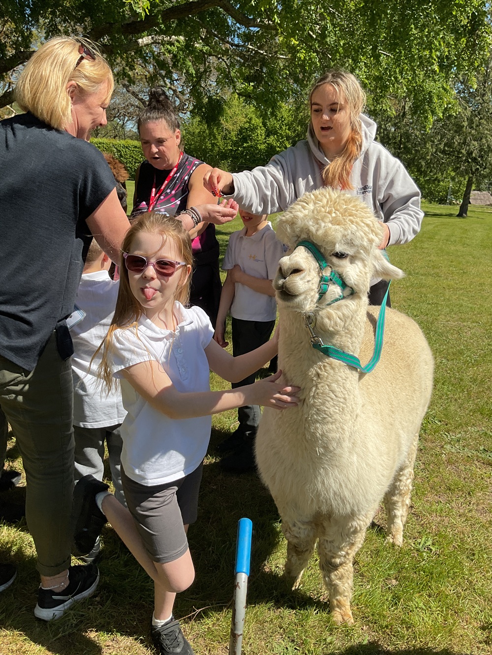 Girls with sunglasses by alpaca