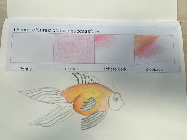 Fish sketch Detailed drawing of a fish shaded with colour pencils.