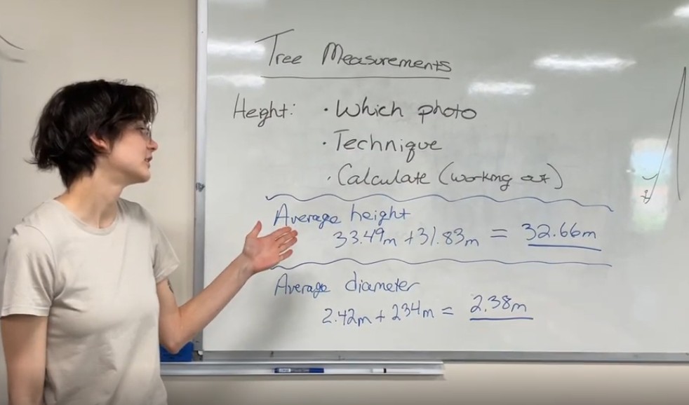 TA explaining the measurements