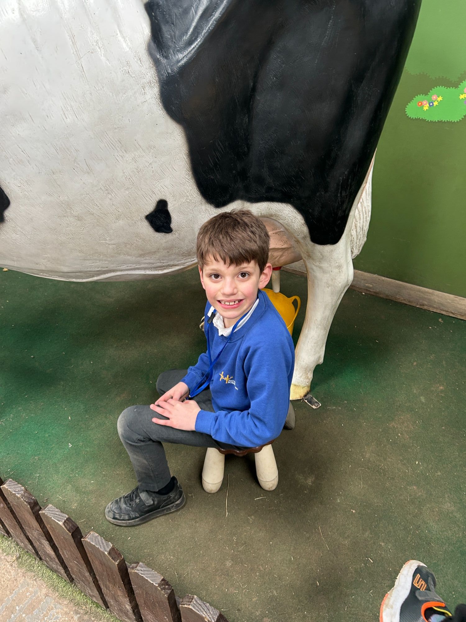 Boy milking a model of a cow
