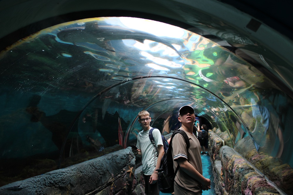 Students walking through a tunnel in a fish tank at the oceanarium