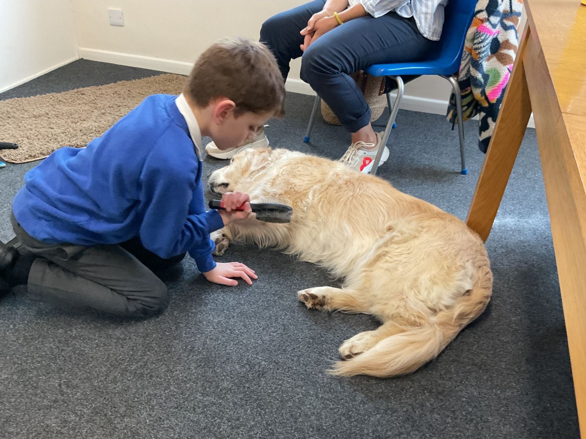 Boy brushing Custard