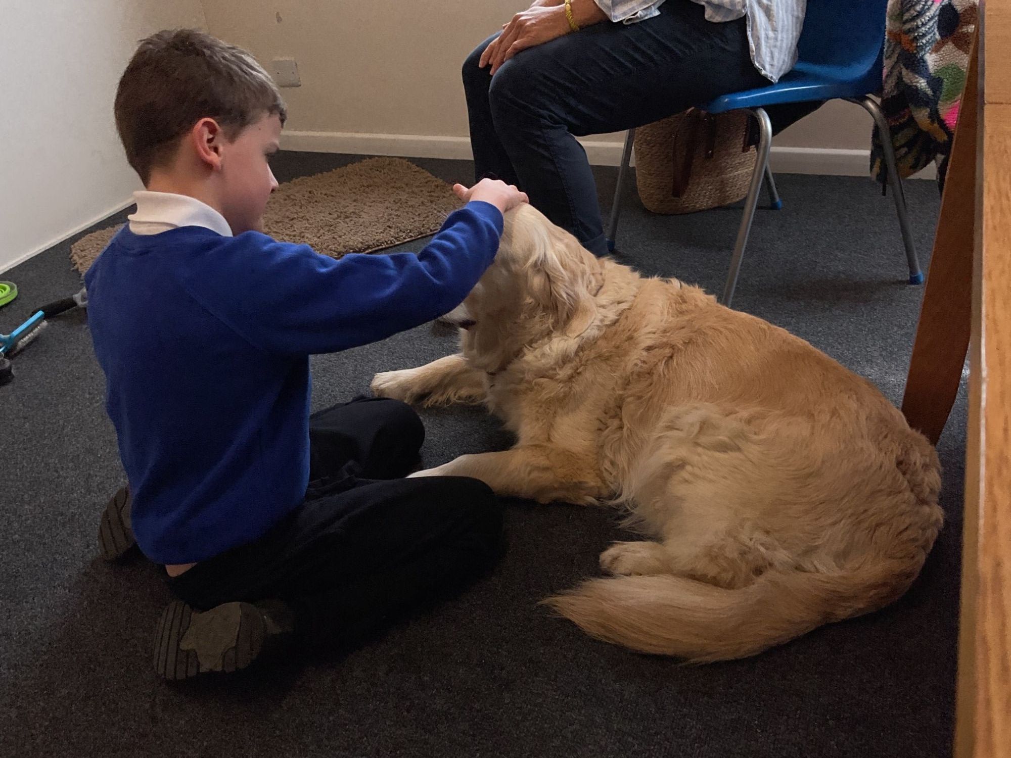 Boy stroking Custard's head