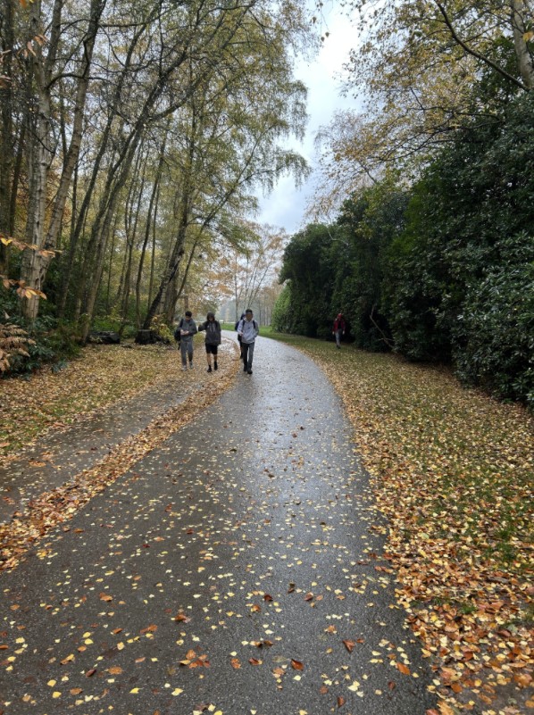 Students walking along a leafy path
