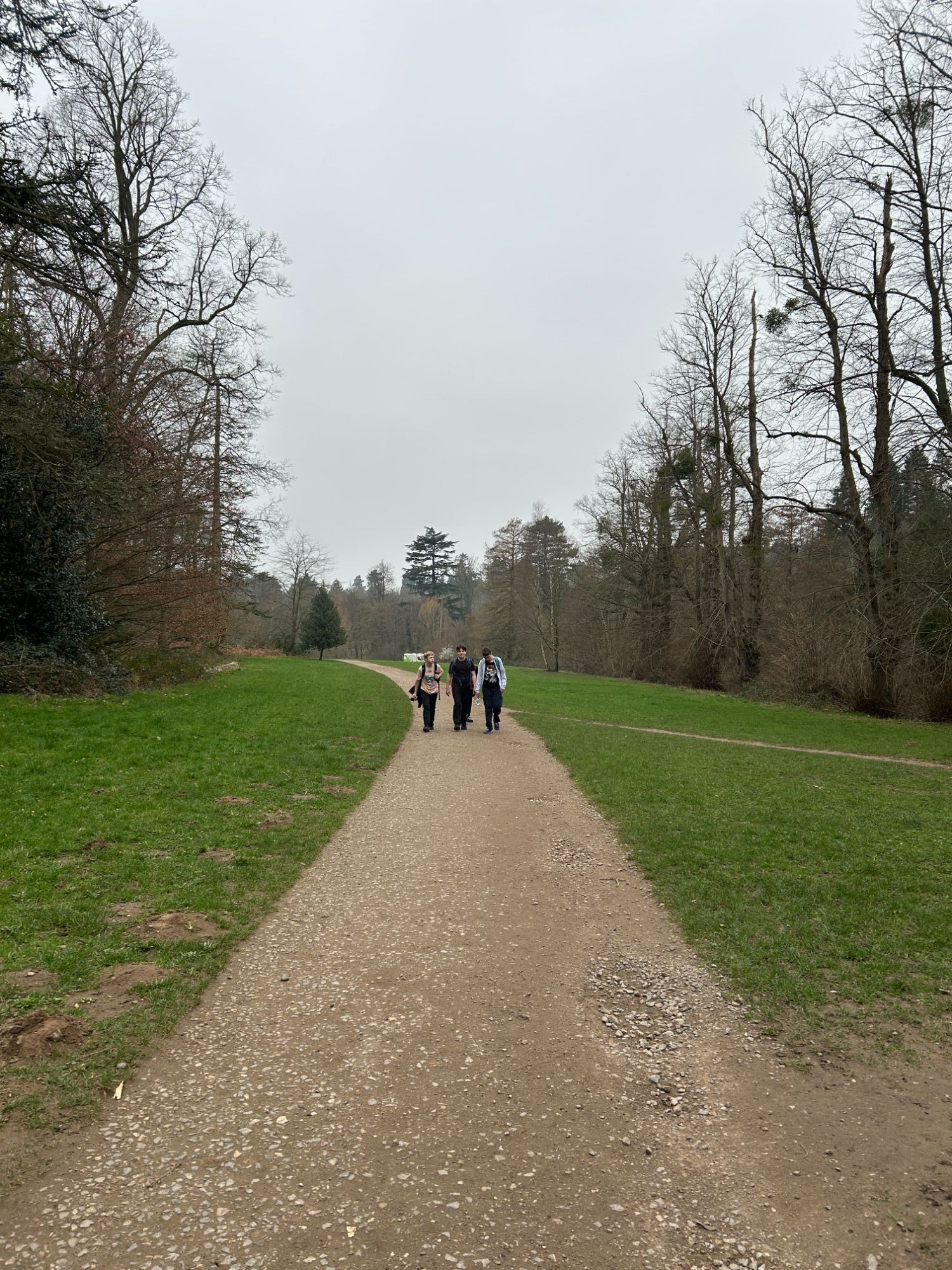 Group of tudents walking up a path