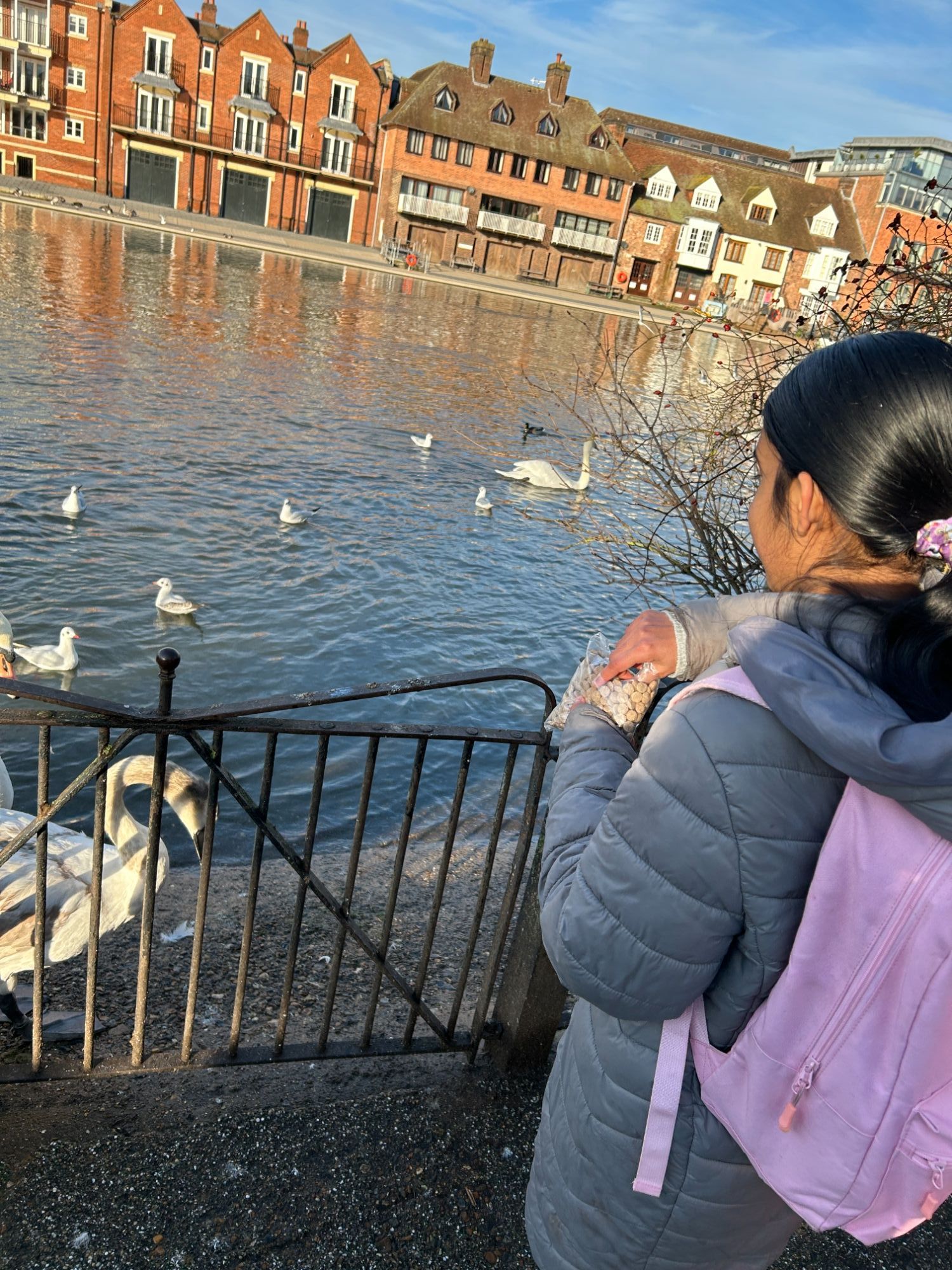 Female student feeding the ducks