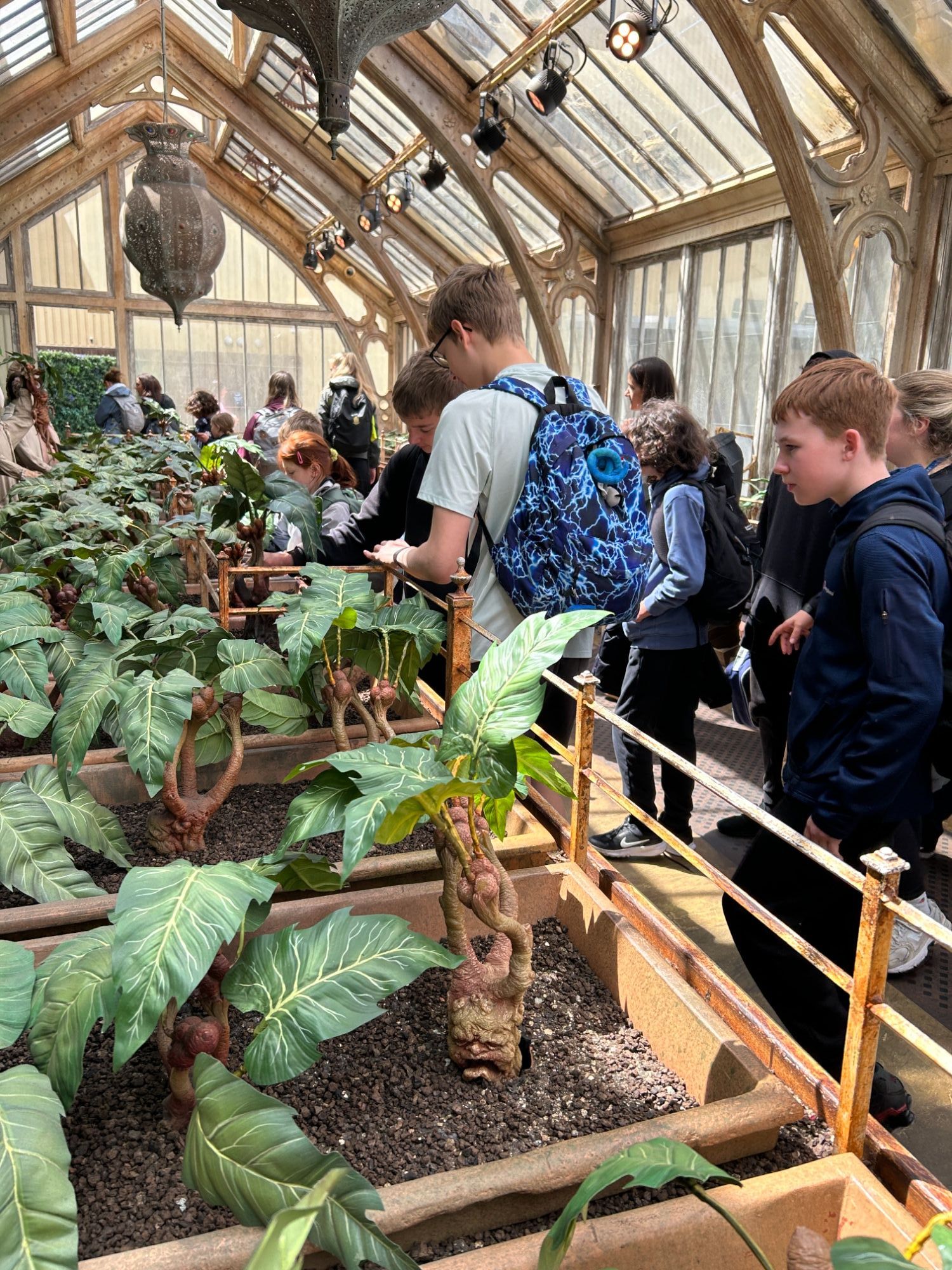 Students walking through the display for Herbology