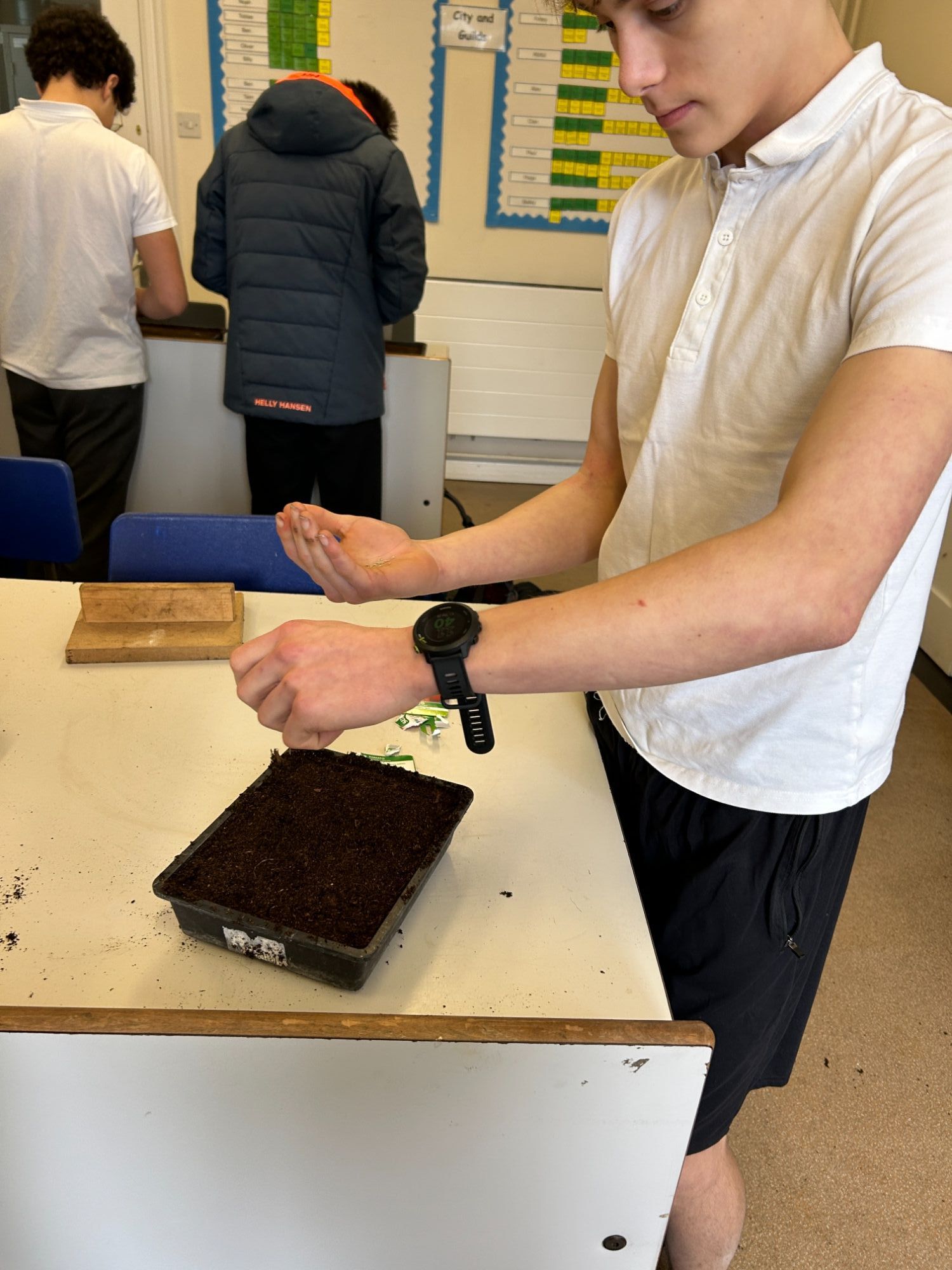 Student carefully sewing seeds in a tray