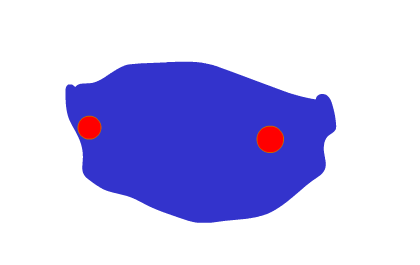 Animation 2 Example of student animation - blue blob with two red dots