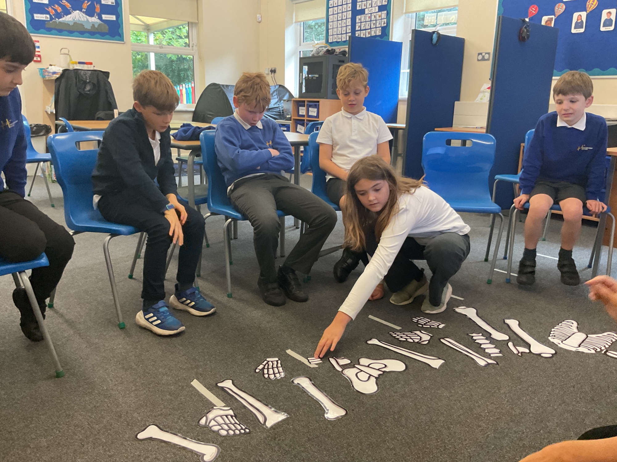 Elm students learning about bones