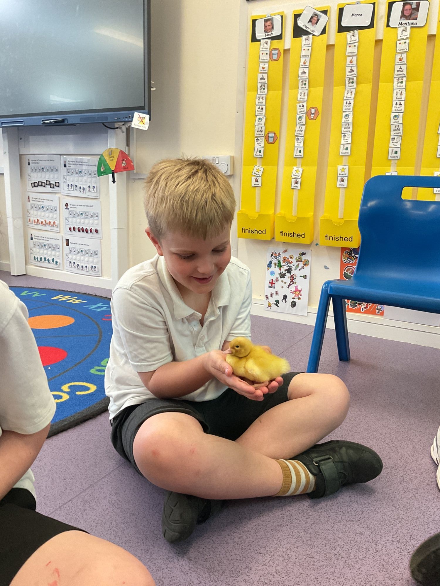 Boy and duckling Boy sitting cross legged and smiling holding a yellow duckling