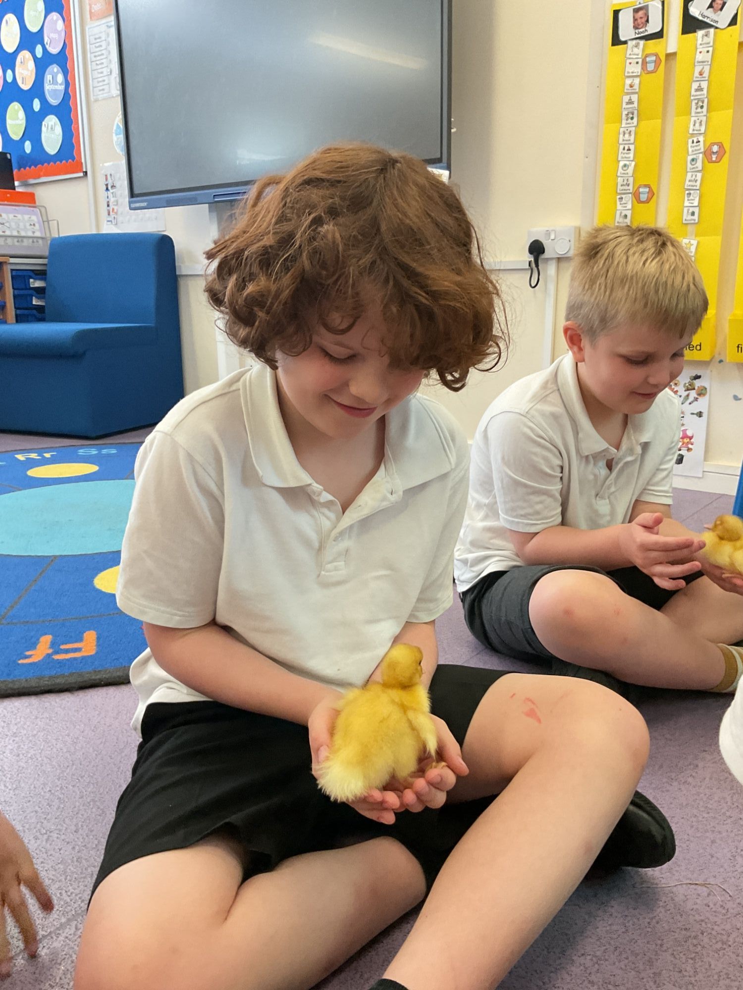 Two boys smiling and carefully holding a yellow duckling