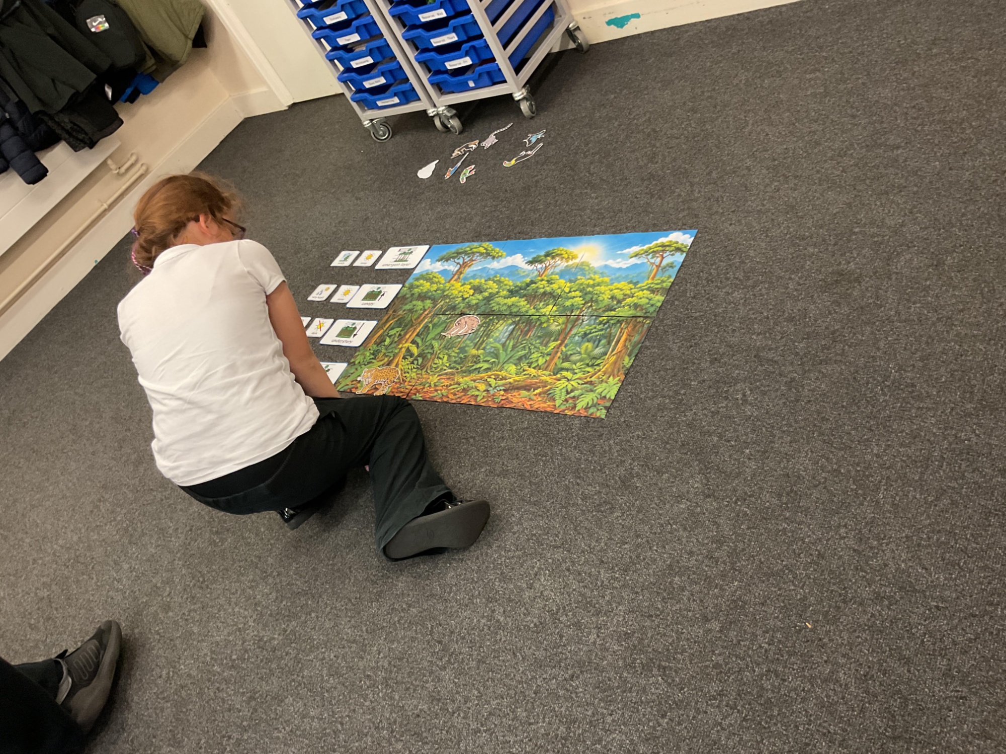 Girl sat on the floor looking at a big picture of the rainforest