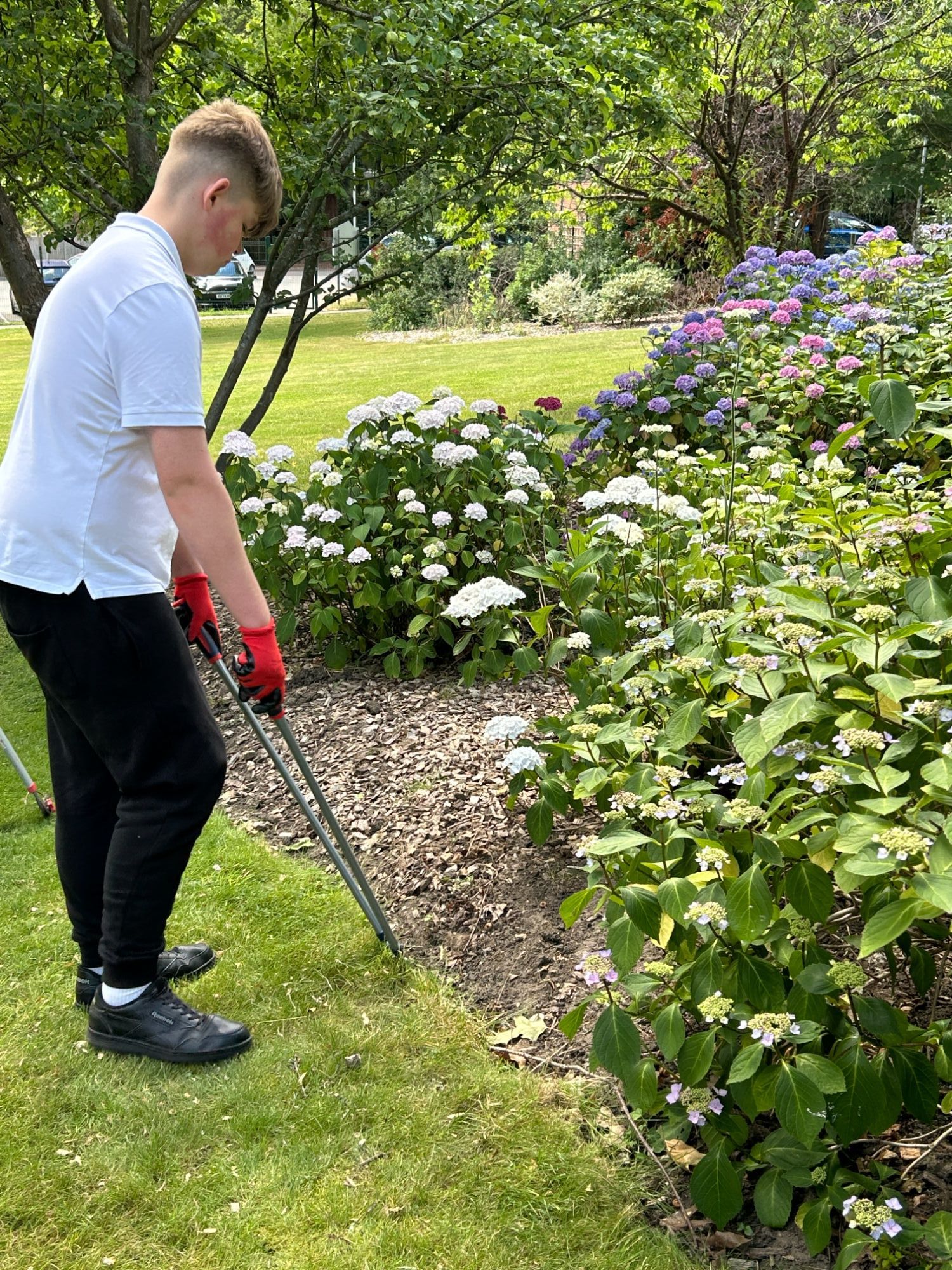 Boy trimming the edges of a flowerbed with a tool