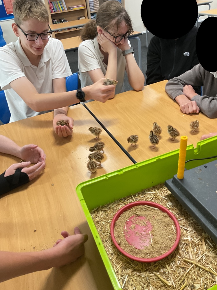 Boy and girl sat at a table ready to measure 9 of the chicks