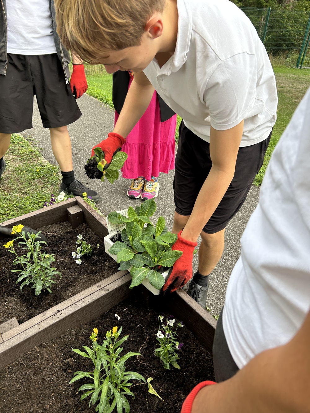 Planting Close-up of students planting