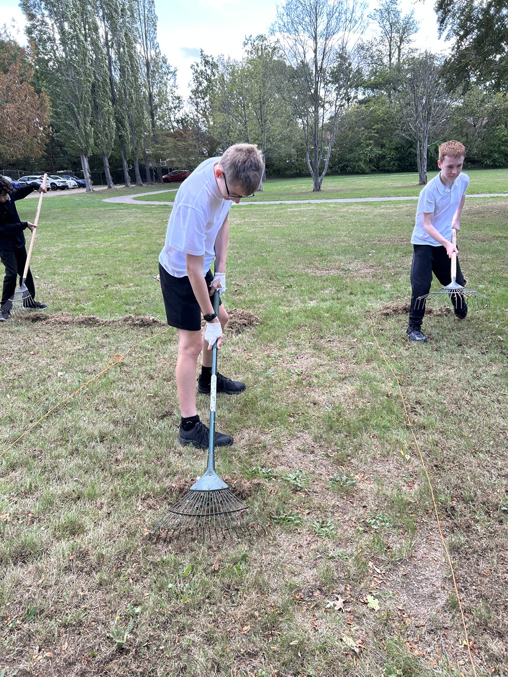 Three students scarifying the grass at school