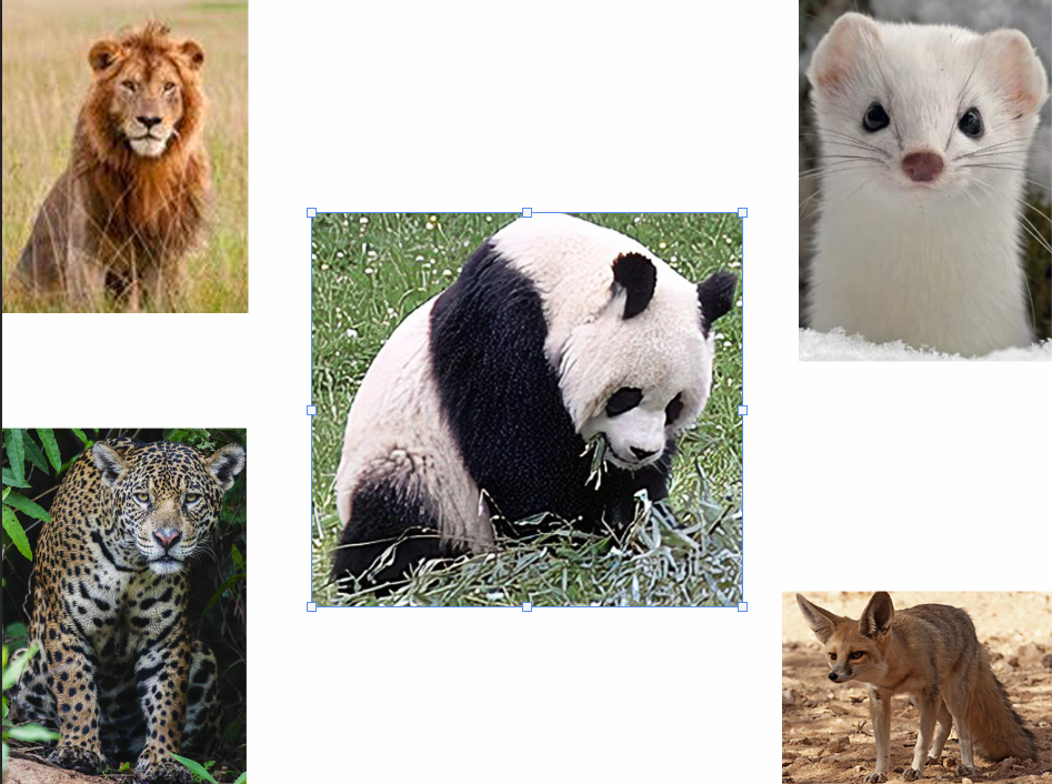 Photoshop2 Example of Earth classes photoshop image featuringf 5 animals