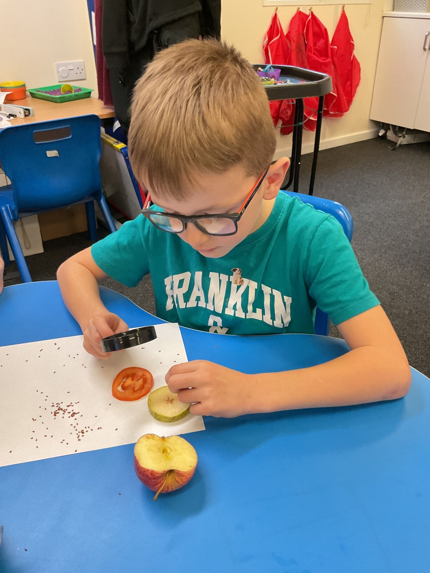 Boy looking at fruit through a magnifying glass