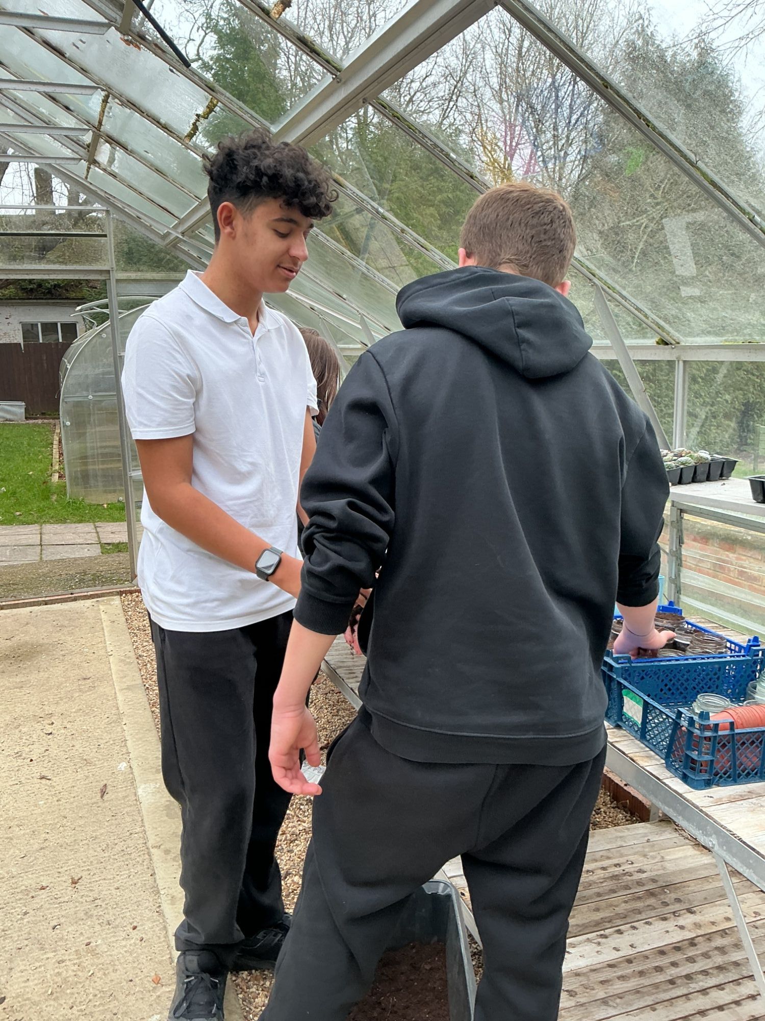 Two boys in the green house