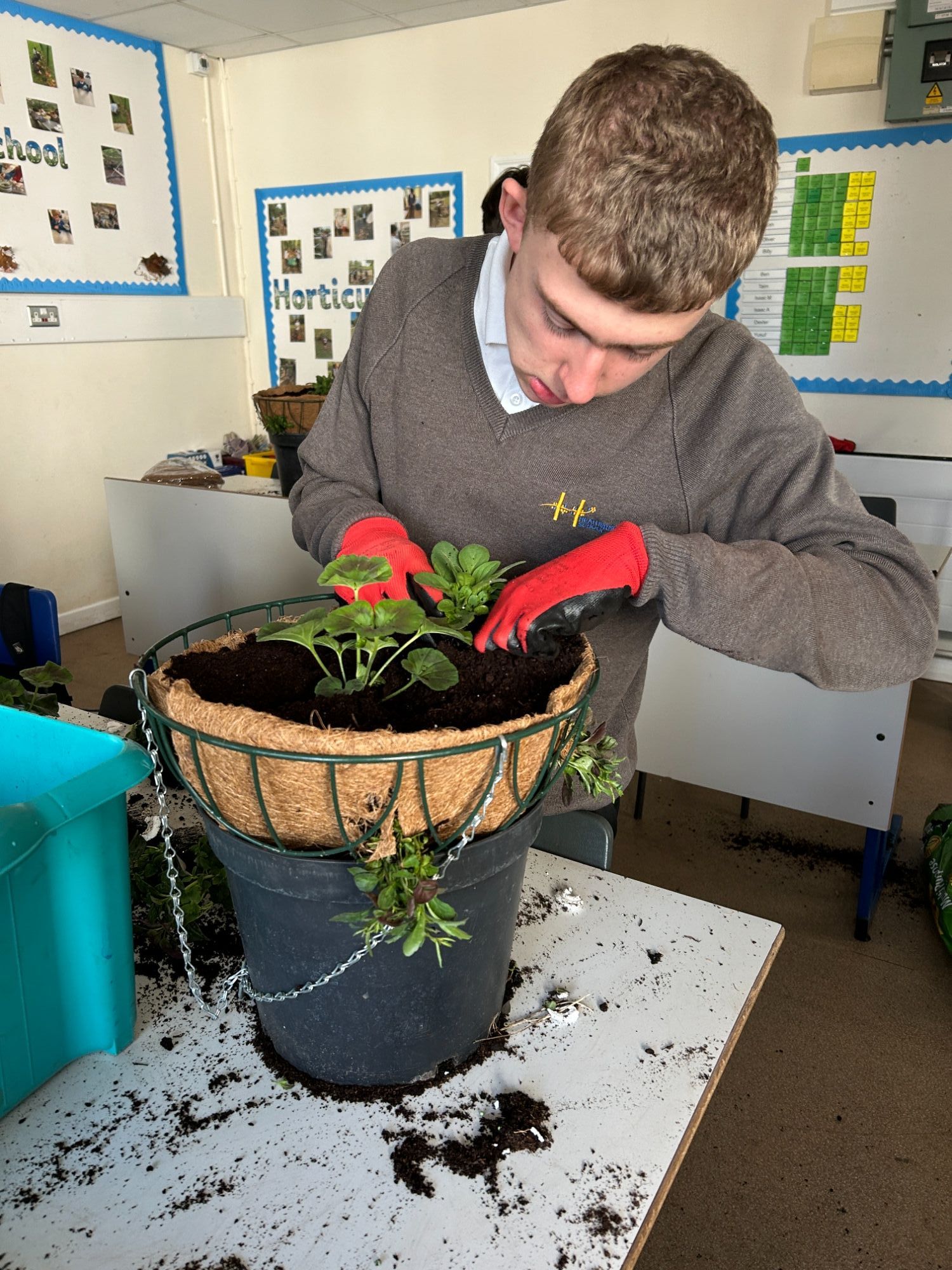 Student planting a flower pot