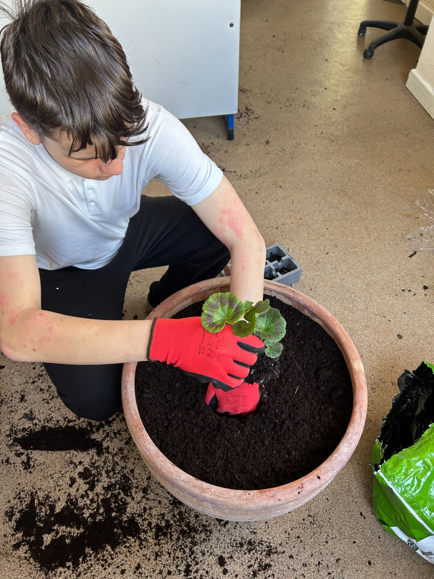 Student planting up a flower pot