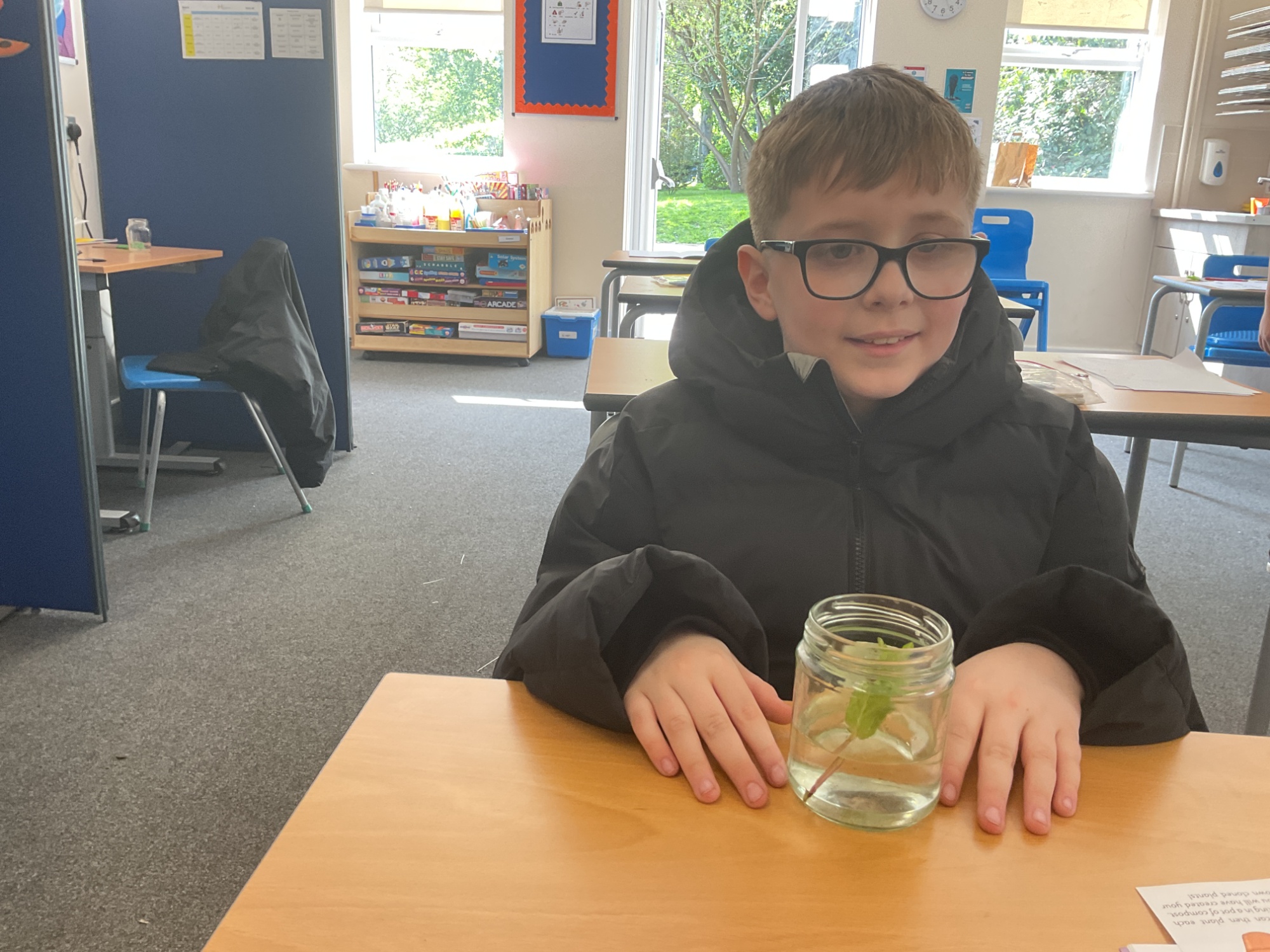 Boy from beech with his cutting in a jar