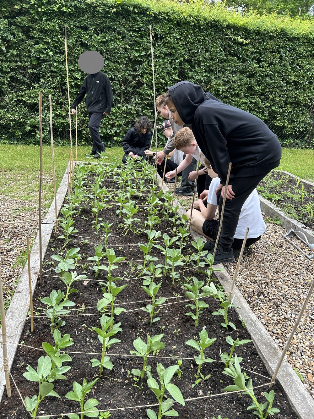 Allotment Secondary students at the allotment