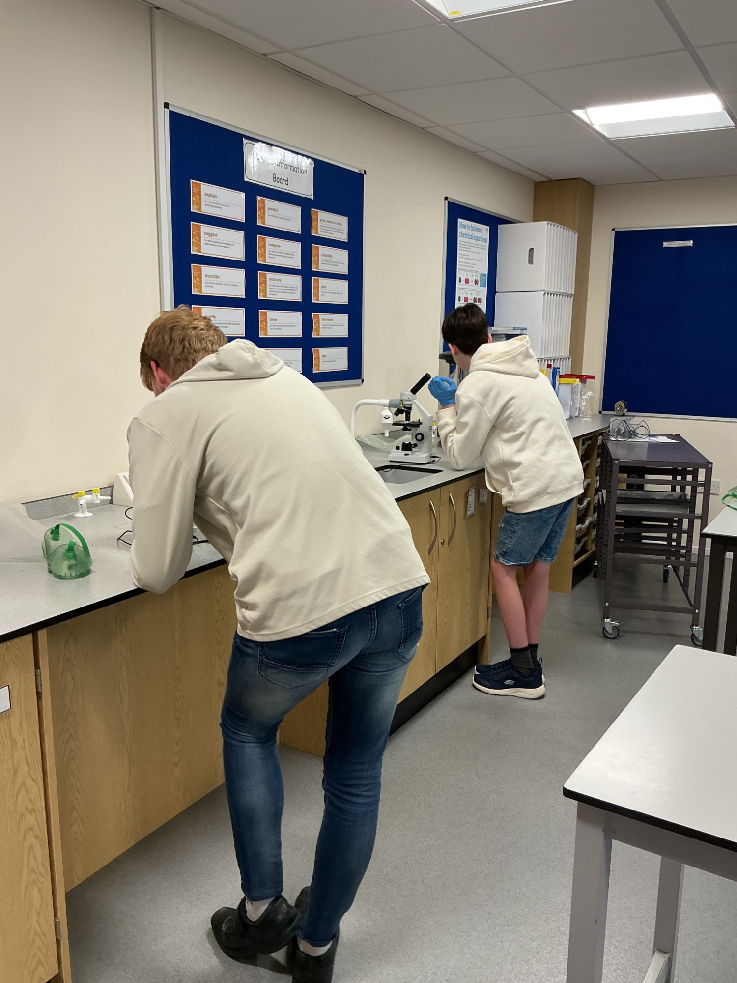 Two boys looking down microscopes whilst wearing their jeans