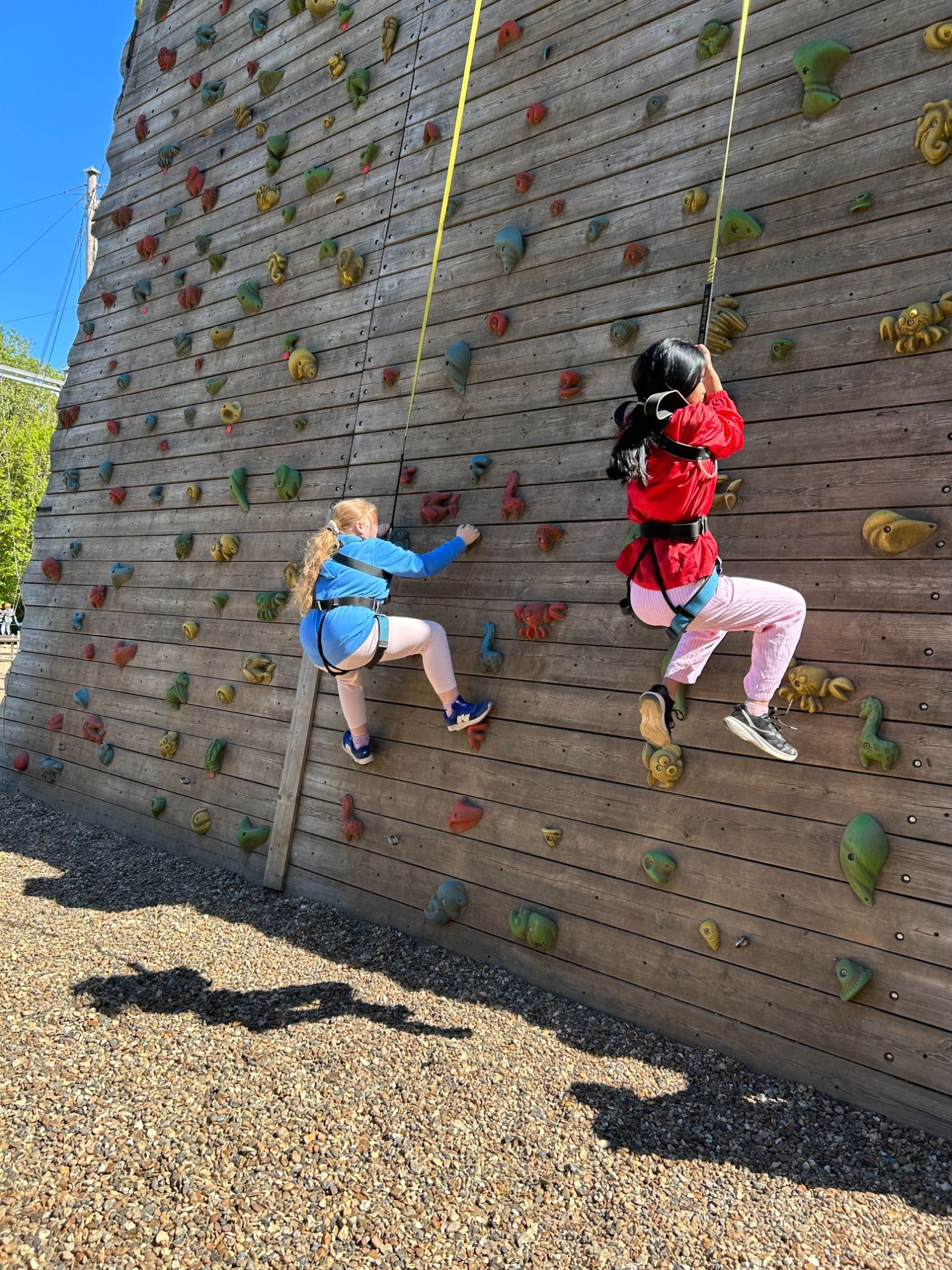 Two girls on a climbing wall