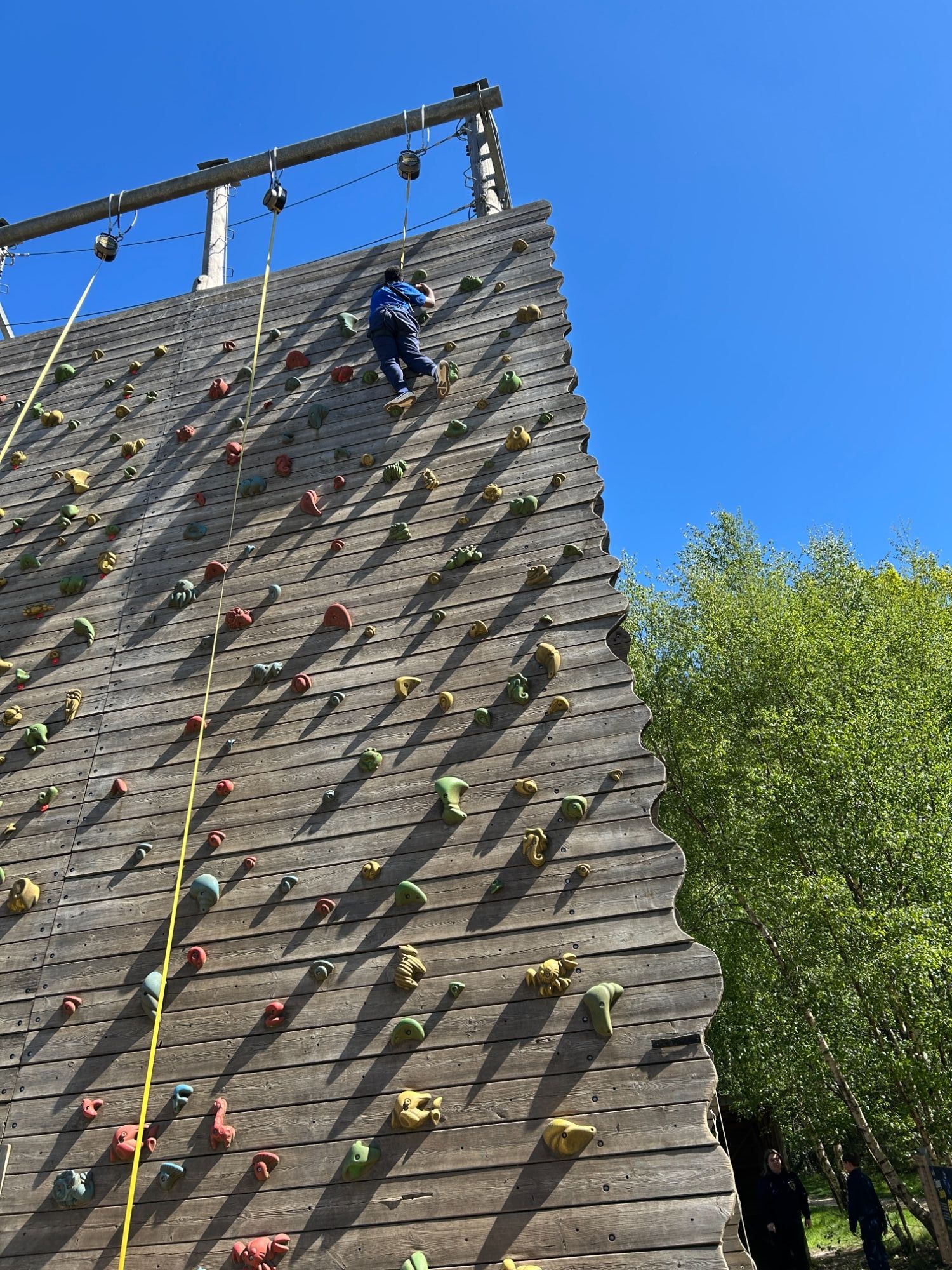 Student near the top of the climbing wall