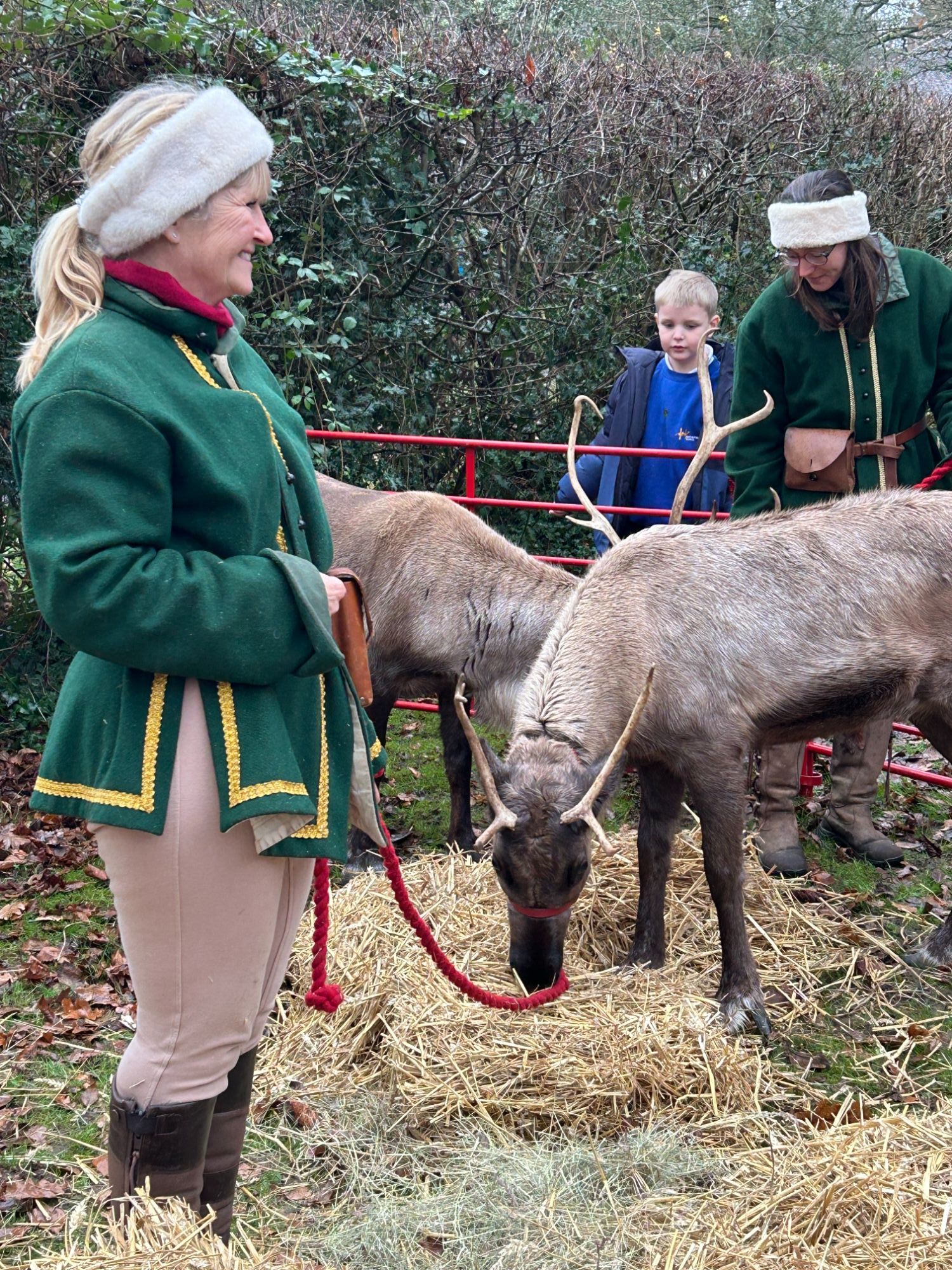Visiting the reindeer