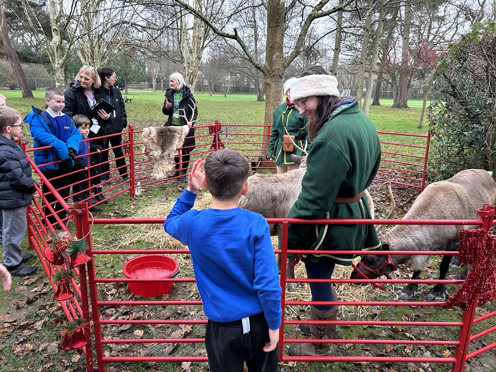 Class looking at the reindeer