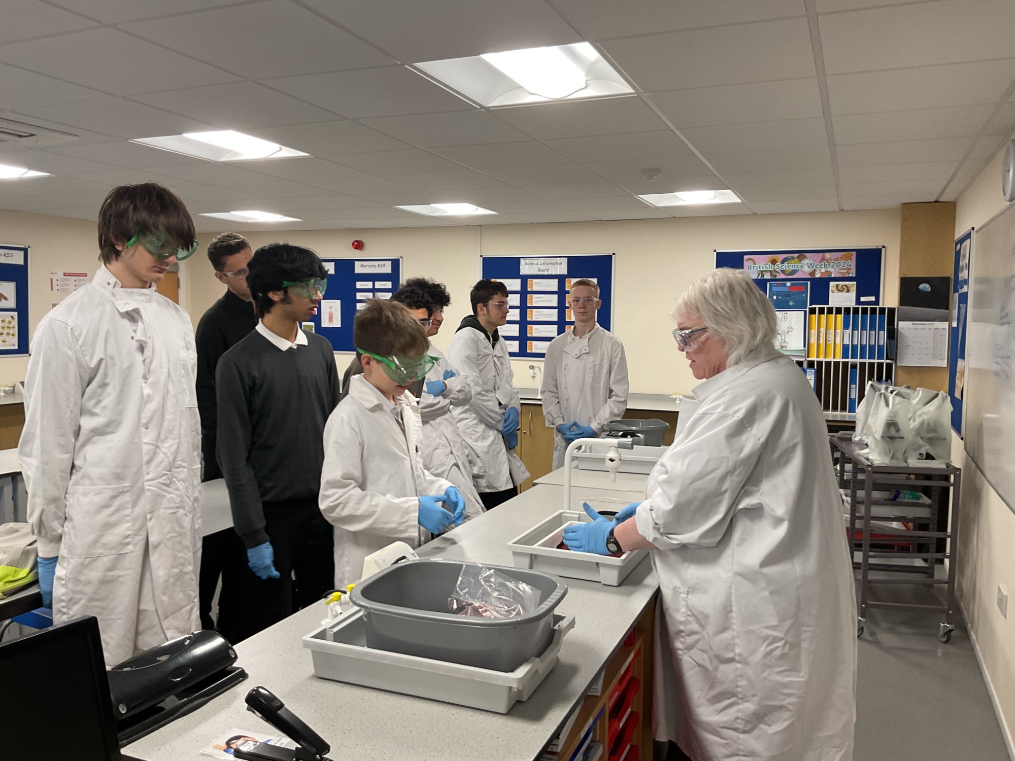 Teaching students about disection