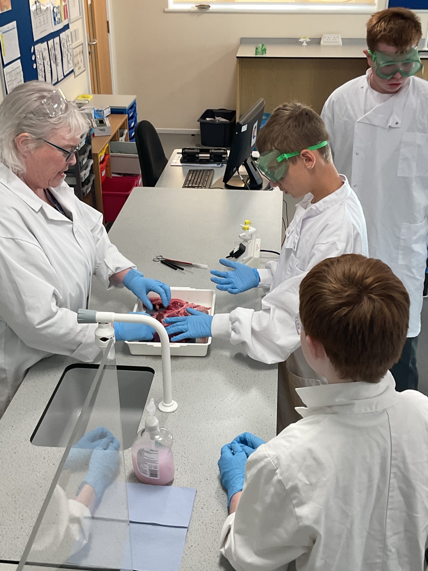 Teacher disecting a pluck with three students observing