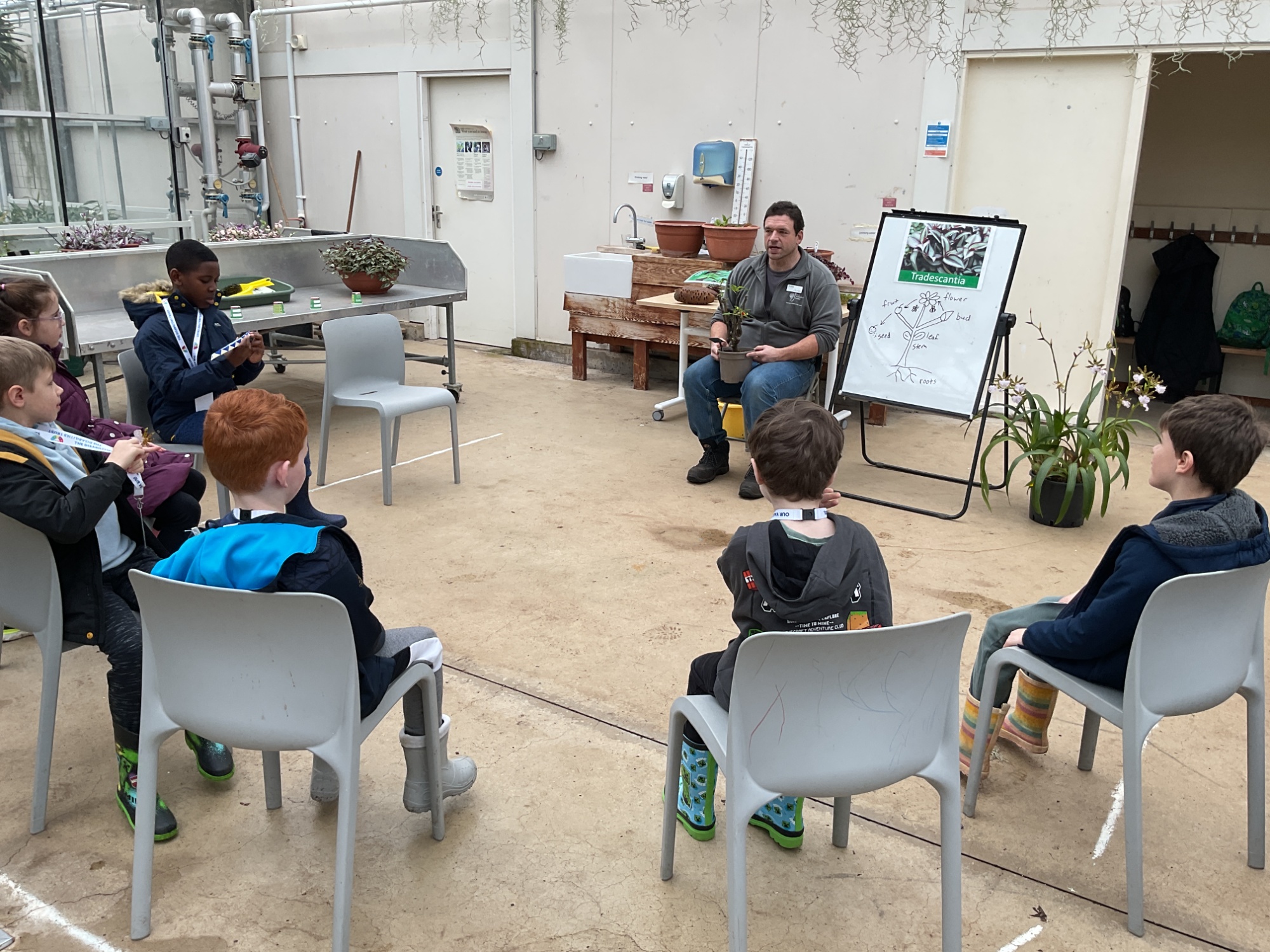 Classroom learning with the expert