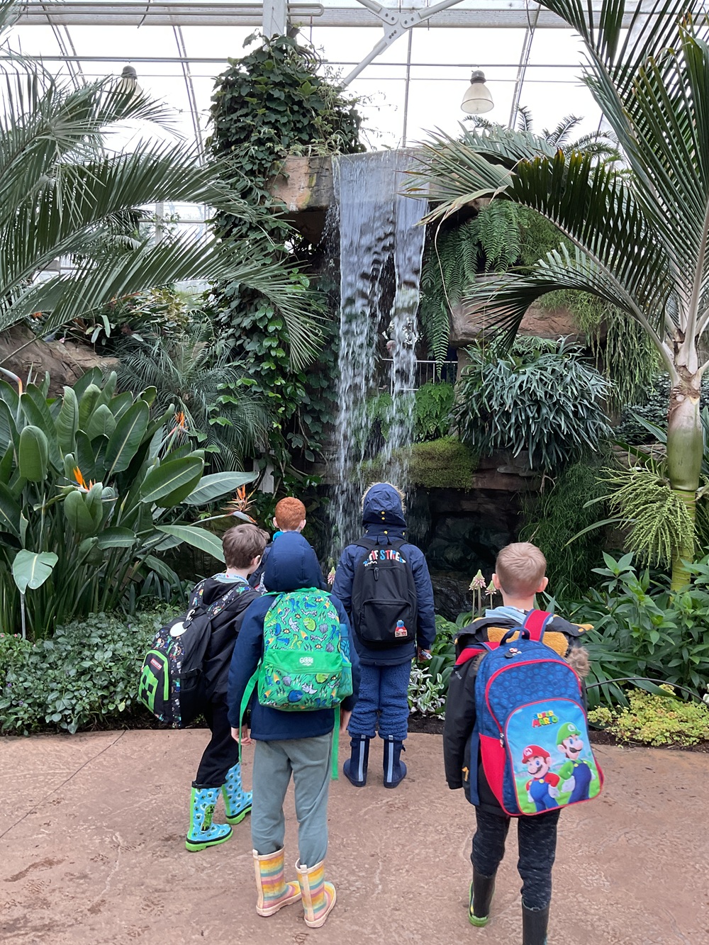 Students looking at the waterfall in the greenhouse