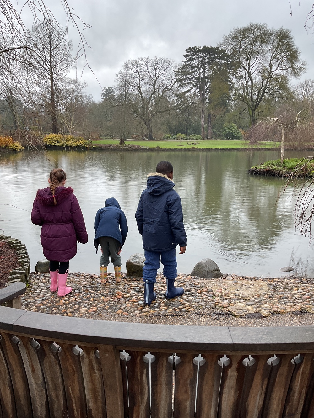 Three students looking at fish in a lake