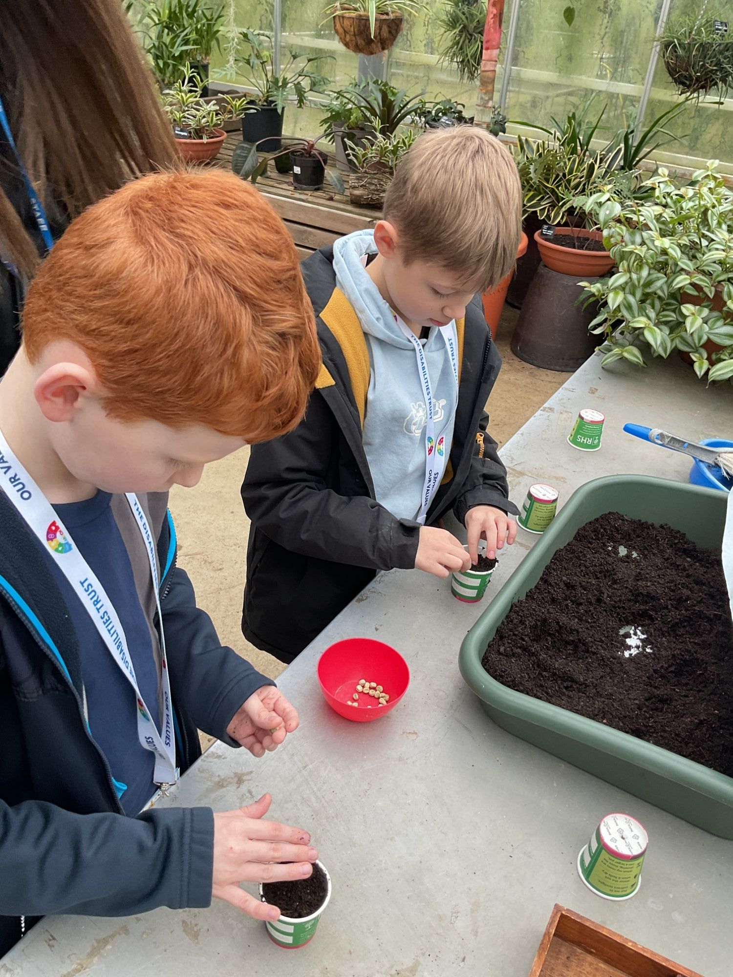 Two boys planting seeds