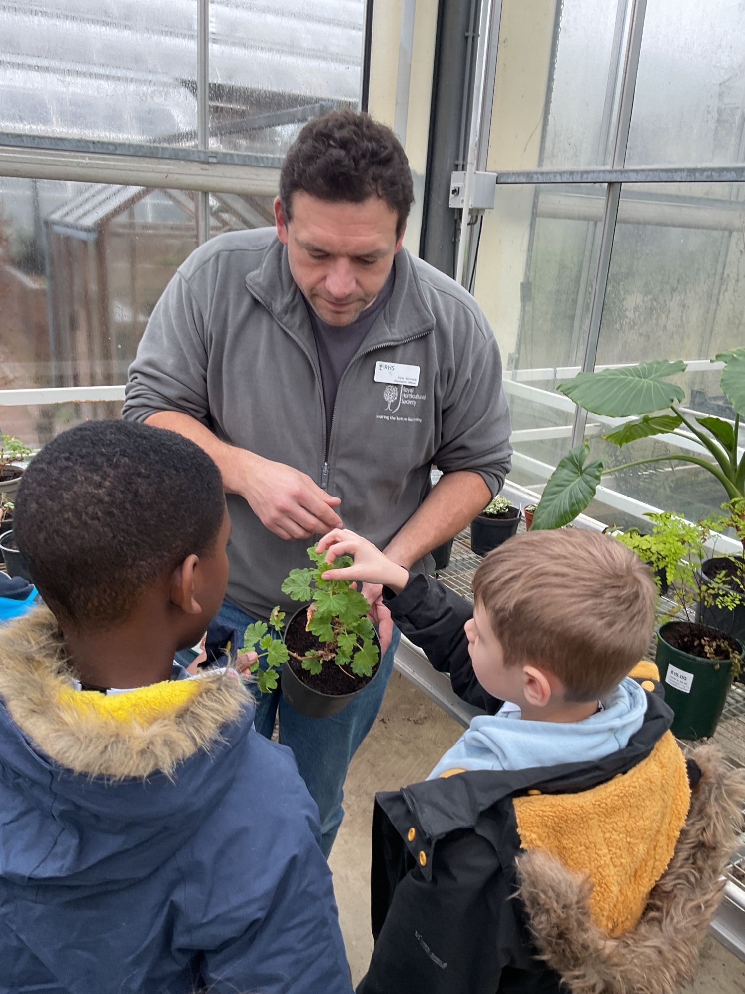 Expert showing two boys a plant